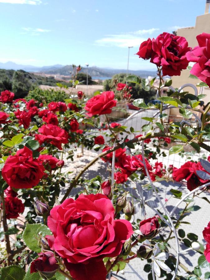The Roses Garden Panzió La Maddalena  Kültér fotó