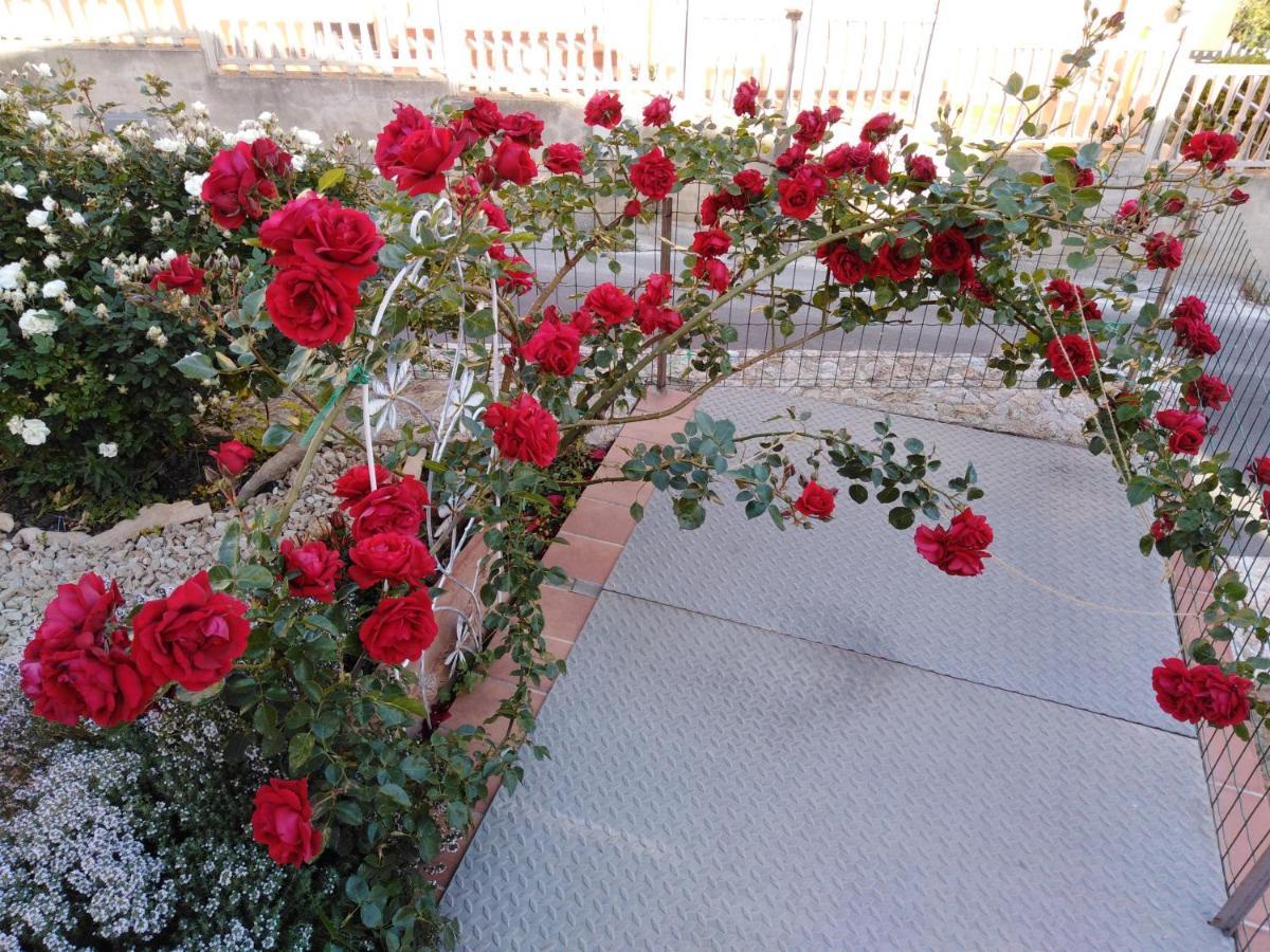 The Roses Garden Panzió La Maddalena  Kültér fotó