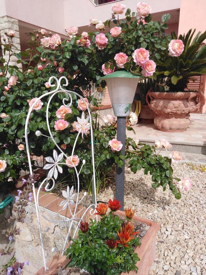 The Roses Garden Panzió La Maddalena  Kültér fotó