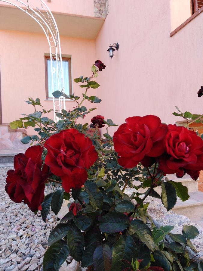 The Roses Garden Panzió La Maddalena  Kültér fotó